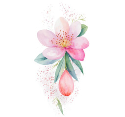 Fototapeta premium Floral teardrop mark spring brunch watercolor on transparent background transparent background isolated png stock