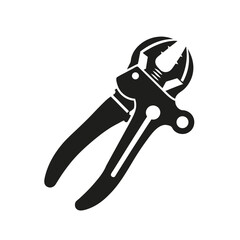 pliers isolated on white background