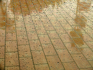 Acqua