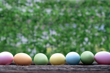 A row of pastel-colored eggs rests on a wooden surface, set against a blurred green background, creating a vibrant springtime feel. Easter egg