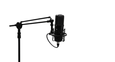 Studio condenser microphone mounted on articulated stand