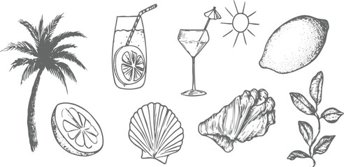 summer vacation, palm tree silhouette, Set of hand-drawn seashells in monochrome blue ink. Tropical beach shells. Summer vacation design, Vector illustration.