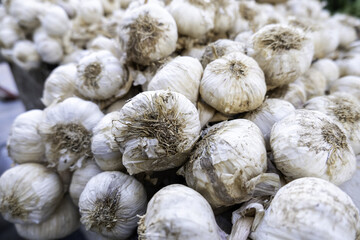 Dried garlic in a market