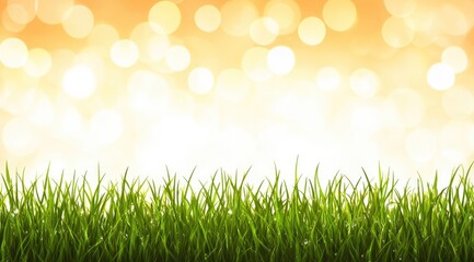 Obraz premium Fresh green grass against a soft orange bokeh background