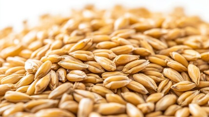 Obraz premium beautiful grains of wheat