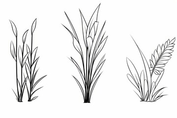 Fototapeta premium Three simple black and white grass outlines for coloring book, clean line art with no shading.