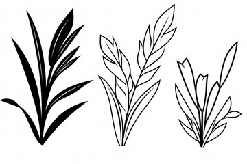Fototapeta premium Simple black and white coloring page of three types of grass with bold lines and clean outlines, vector illustration for children’s coloring.