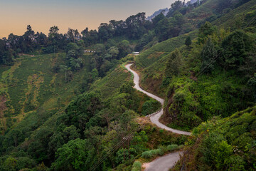 Beautiful Hilltop Road with Stunning Views in Darjeeling