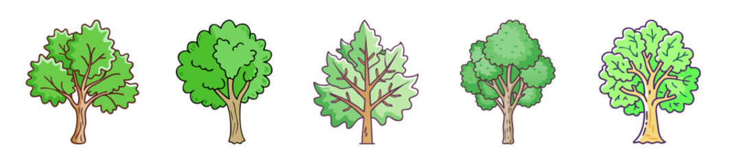 sycamore tree icon, sycamore tree line art - simple line art of sycamore tree, perfect for sycamore tree logos and icons