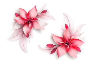 Obraz premium Elegant Pink Flower with Decorative Feather Accents on White Background