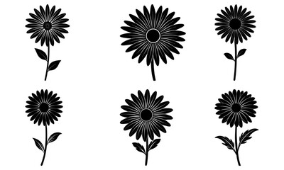 Daisy Silhouette vector illustration