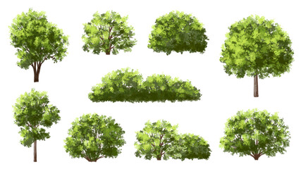Vertor set of green tree,plants side view for landscape elevations,element for backdrop,eco environment concept design,watercolor greenery scene,shrub