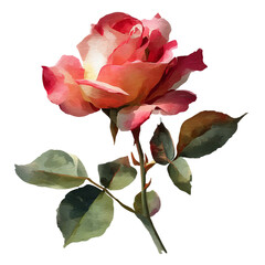 Fototapeta premium Beautiful watercolor painting of a rose with delicate petals and green leaves on a transparent background