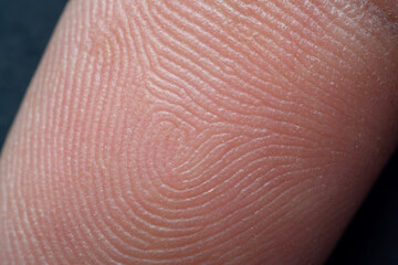 Close-up macro fingerprint,Fingerprint - extremely close up micro-photography