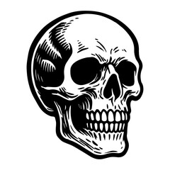Skull hand drawn. tattoo sketch. isolated vector image