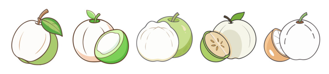white sapote icon, white sapote line art 