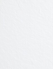 Fototapeta premium White paper texture page vertical orientation, rough paper background