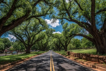 Verdant Canopy Embraces the Road Ahead.