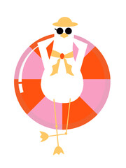 Fototapeta premium duck with swimming float