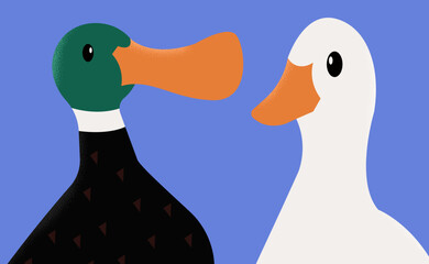 duck and ducklings