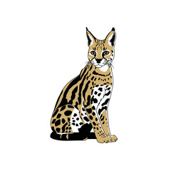 Ocelot illustration sits frontal isolated stylized art design vector