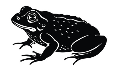 European green tree frog lurking for prey in natural environment