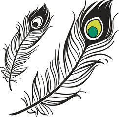 Symmetrical Peacock Feather Illustration Bold Black Line Art with Green Eye Detail
