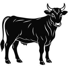 Fototapeta premium silhouette of charolais cow with sturdy frame