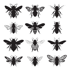 Fototapeta premium bee silhouette set, Black & White silhouette set