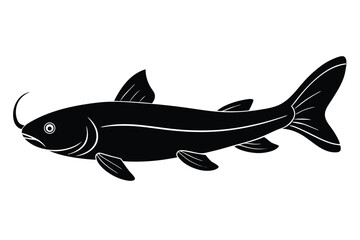 fish on a white background