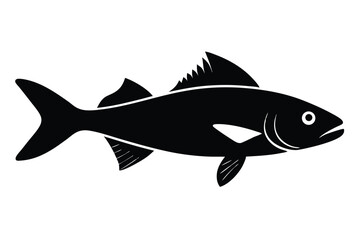 fish isolated on white