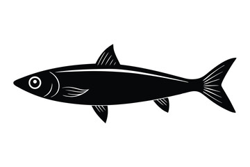 fish isolated on white background