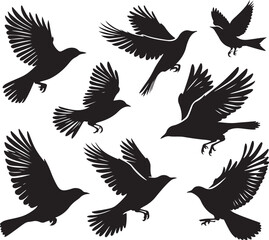 Obraz premium A versatile black silhouette vector set featuring flying eagle and bird wing illustrations perfect for nature or tattoo designs.