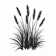 Fototapeta premium Grasses silhouette vector illustration field meadow nature plant floral botanical design graphic black and white art