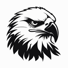 Fototapeta premium Eagle drawing illustration vector animal bird wildlife predator bald head graphic design sketch art silhouette