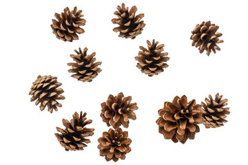 Dried pinecones floating, cut out
