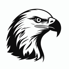 Obraz premium Eagle head vector illustration bald eagle graphic bird of prey american symbol freedom animal design art