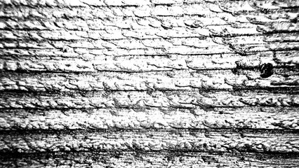 Obraz premium Wood texture overlay on a transparent background