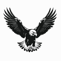 Obraz premium Eagle soaring bird of prey wildlife majestic freedom wings vector art illustration design graphic animal