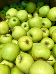 fresh green apples in a market
