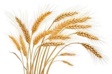 Fototapeta premium Golden Wheat Stalk Bundle in Rural Field – Organic Cereal Crop Harvest and Agricultural Landscape