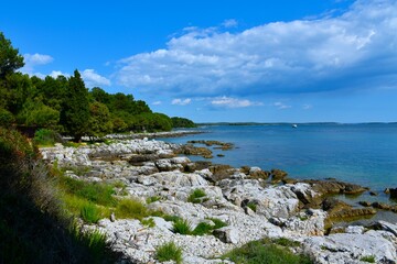 Rocky coast near Rovinj at the Adriatic sea in Istria, Croatia