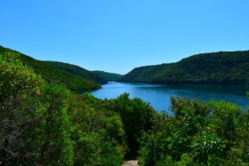 Mediterranean vegetation above the Lim channel in Istria, Croatia