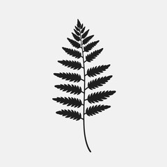 Naklejka premium Fern leaf vector botanical illustration silhouette design nature plant forest foliage greenery botanical art decor
