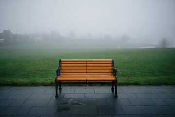 Empty Brown Wood bench isolated in park