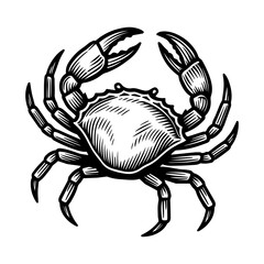 Vector vintage crab drawing. Hand drawn monochrome seafood illustration. Great for menu, poster or label.