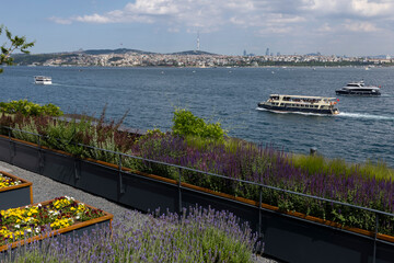 Organic Agriculture on the Building Terrace on the Bosphorus, vegetables are grown in large pots
