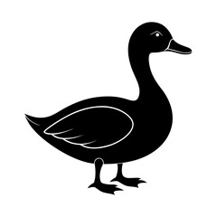 Silhouette of a duck standing on a white background