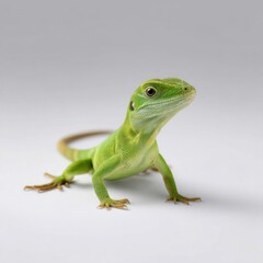 Fototapeta premium Bright Green Lizard Standing Alert on White Background, Illustrating Wildlife Conservation and Exotic Pet Ownership : Generative AI