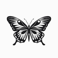 Black and white butterfly vector illustration insect design graphic art decorative nature wings pattern beauty silhouette